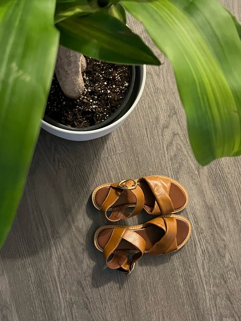 See by Cholé sandals